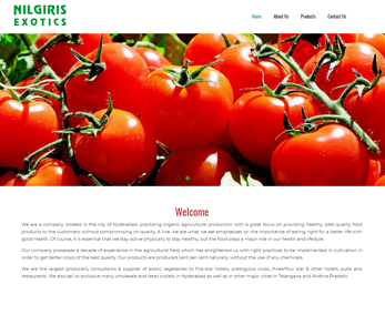 Website design for Organic Food Supplier

